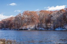 DSC_2260.jpg