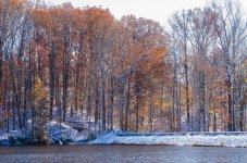 DSC_2262.jpg