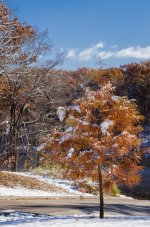 DSC_2264.jpg