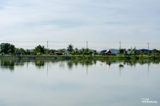 landscape50-1.jpg