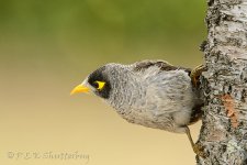 NEW_2705_webshot.jpg