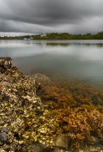 NEW_2749_HDR_webshot.jpg