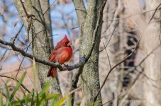 DSC_2406.jpg