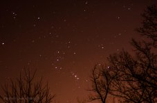 DSC_2433.jpg