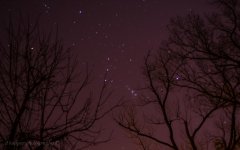 DSC_2435.jpg