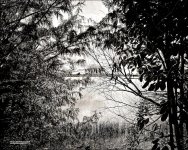 Quiet Waters V.jpg