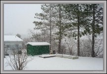 snow frozen in time.jpg