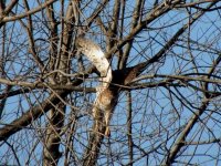 DSCN9718.jpg
