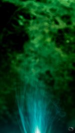 058-3.jpg