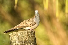 NEW_2863_webshot.jpg