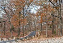DSC_2495.jpg