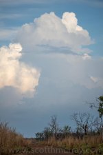 D60_3118.jpg