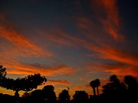 Sunset.jpg