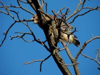 DSCN9729.jpg