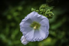_DSC5544-Edit-Edit (1024x684).jpg