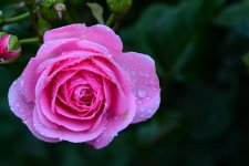 DSC_6143.jpg