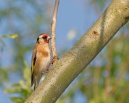 DSC_2192.jpg