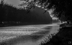 DSC_8626.jpg