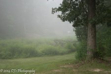 20140708-_DSC0064.jpg