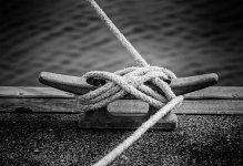 NEW_3050_B&W_watermark.jpg