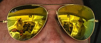 NEW_2929_webshot.jpg