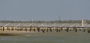 NEW_2951_webshot.jpg