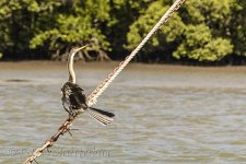 NEW_2979_webshot.jpg