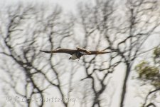 NEW_3023_webshot.jpg