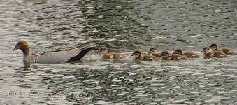 NEW_3062_webshot.jpg
