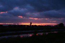 DSC_6132.jpg
