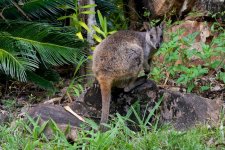 DSC_7042.jpg