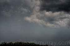 SHM_9155.jpg