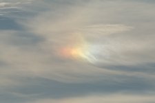 DSC_0865.jpg
