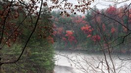 Cherohala Skyway--17.jpg