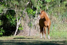 DSC_7073.jpg