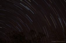 star trail 1.jpg