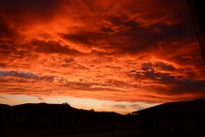 DSC_6237.jpg