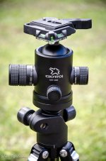 Giottos Ball head.jpg
