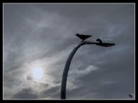 062-3-Edit-Edit.jpg
