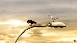 033-Edit-Edit-2.jpg
