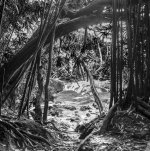 DSC_0748.jpg