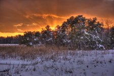 D610#2 Blackpoint-Snow HD9a.jpg
