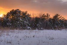 D610#2 Blackpoint-Snow HD10.jpg
