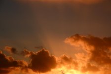 DSC_6282.jpg