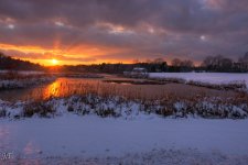 D610#2 Blackpoint-Snow HD2.jpg