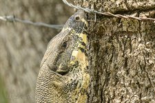 NEW_3366_webshot.jpg