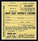 Back Seat Driver.jpg