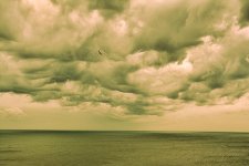 DSC_3888-1.jpg