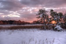 D610#2 Blackpoint-Snow HD15.jpg