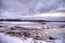 D610#2 Blackpoint-Snow HD20b.jpg